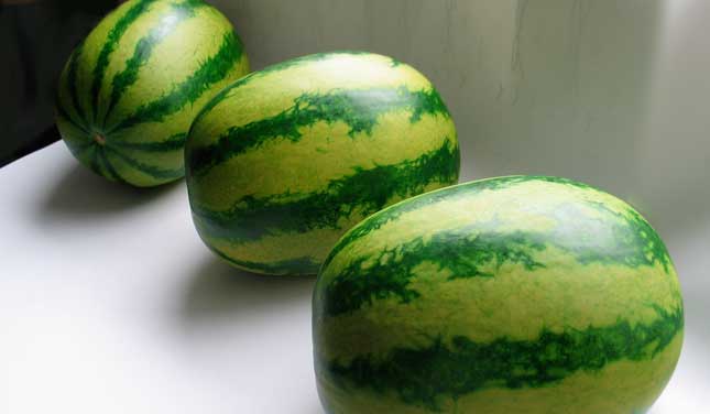 Airbrushed bronze watermelon