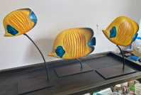 Exotic yellow fish