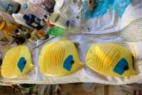 Exotic yellow fishccc