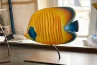 Exotic yellow fished