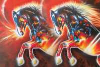 Wild horse