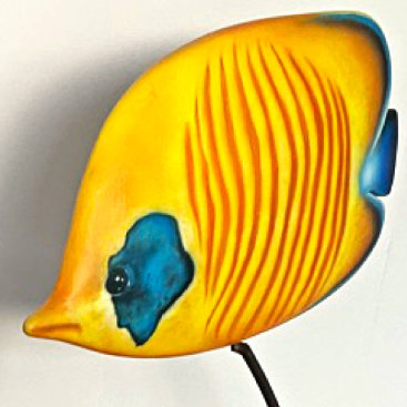 Exotic fish