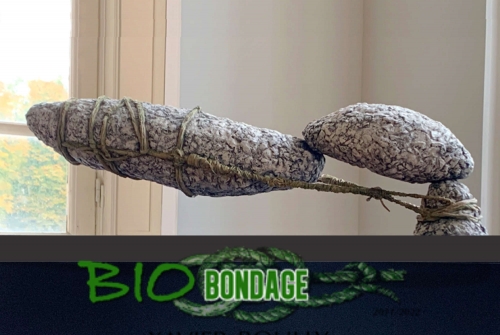 bb