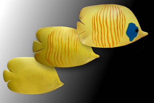 Exotic yellow fish