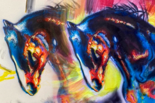 Wild horse